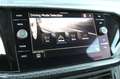 Volkswagen T-Cross 1.0 TSI Sport 81kW Azul - thumbnail 14