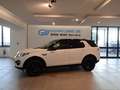 Land Rover Discovery Sport Discovery Sport2.0 td4 Business edition PREMIUM SE Weiß - thumbnail 1
