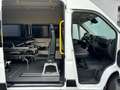 Citroen Jumper 33 L2H2 Live Blue-HDi Liegendtransport+Tragestuhl Weiß - thumbnail 12
