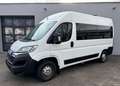 Citroen Jumper 33 L2H2 Live Blue-HDi Liegendtransport+Tragestuhl Weiß - thumbnail 5