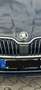 Skoda Superb Superb Combi 2.0 TDI DSG Style/TÜV NEU!! Schwarz - thumbnail 9