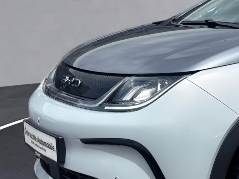 BYD Dolphin EV — photo 7