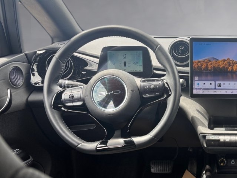 BYD Dolphin EV — photo 10