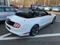 Ford Mustang GT Convertible V8 *CALIFORNIA-EDITION* Weiß - thumbnail 8