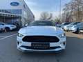 Ford Mustang GT Convertible V8 *CALIFORNIA-EDITION* Weiß - thumbnail 6