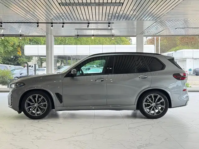 BMW X5 view 3