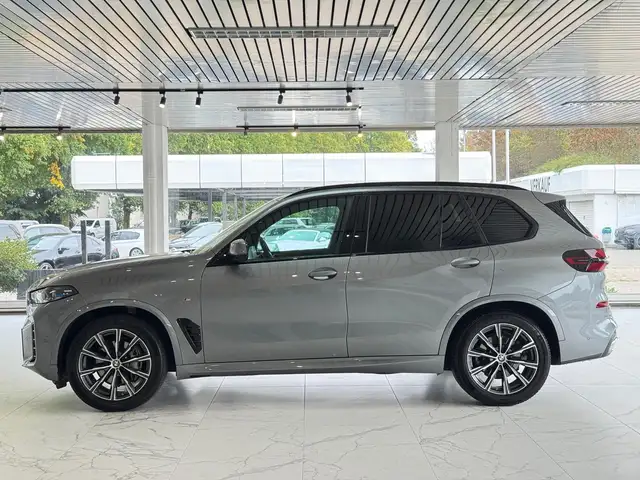 BMW X5 view 4