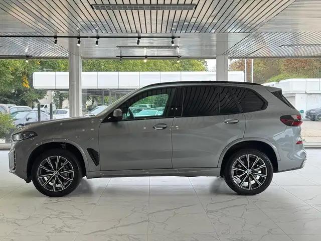 BMW X5 view 5