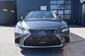 Lexus LS 500 h Luft,Pano,LED,Keyless Go... Szary - thumbnail 6