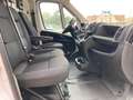 Fiat Ducato 33 2.2 Mjt 140CV MAXI S9 Furgone PREZZO REALE Bianco - thumbnail 13