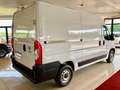 Fiat Ducato 33 2.2 Mjt 140CV MAXI S9 Furgone PREZZO REALE Bianco - thumbnail 4