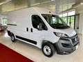 Fiat Ducato 33 2.2 Mjt 140CV MAXI S9 Furgone PREZZO REALE Bianco - thumbnail 3