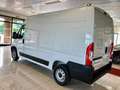 Fiat Ducato 33 2.2 Mjt 140CV MAXI S9 Furgone PREZZO REALE Bianco - thumbnail 6