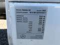 Mercedes-Benz Sprinter 311/314/316 CDI RWD L2 Pritsche Plane / 20% MWST / Weiß - thumbnail 24