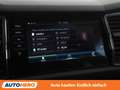 Skoda Kodiaq 2.0 TDI Sportline 4x4 Grau - thumbnail 23