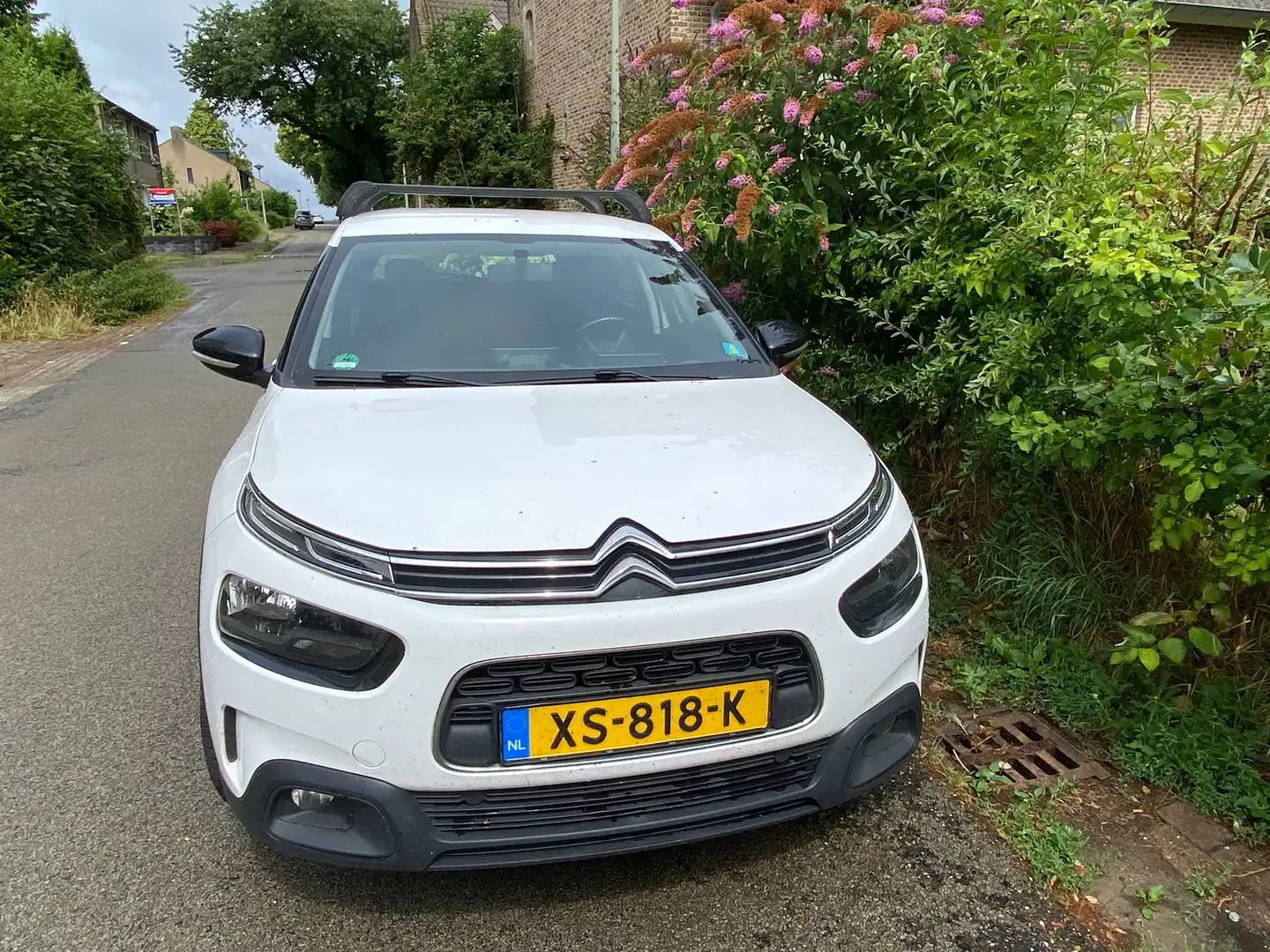 Citroen C4 Cactus C4 Cactus 1.6 BlueHDi Feel Wit - 1