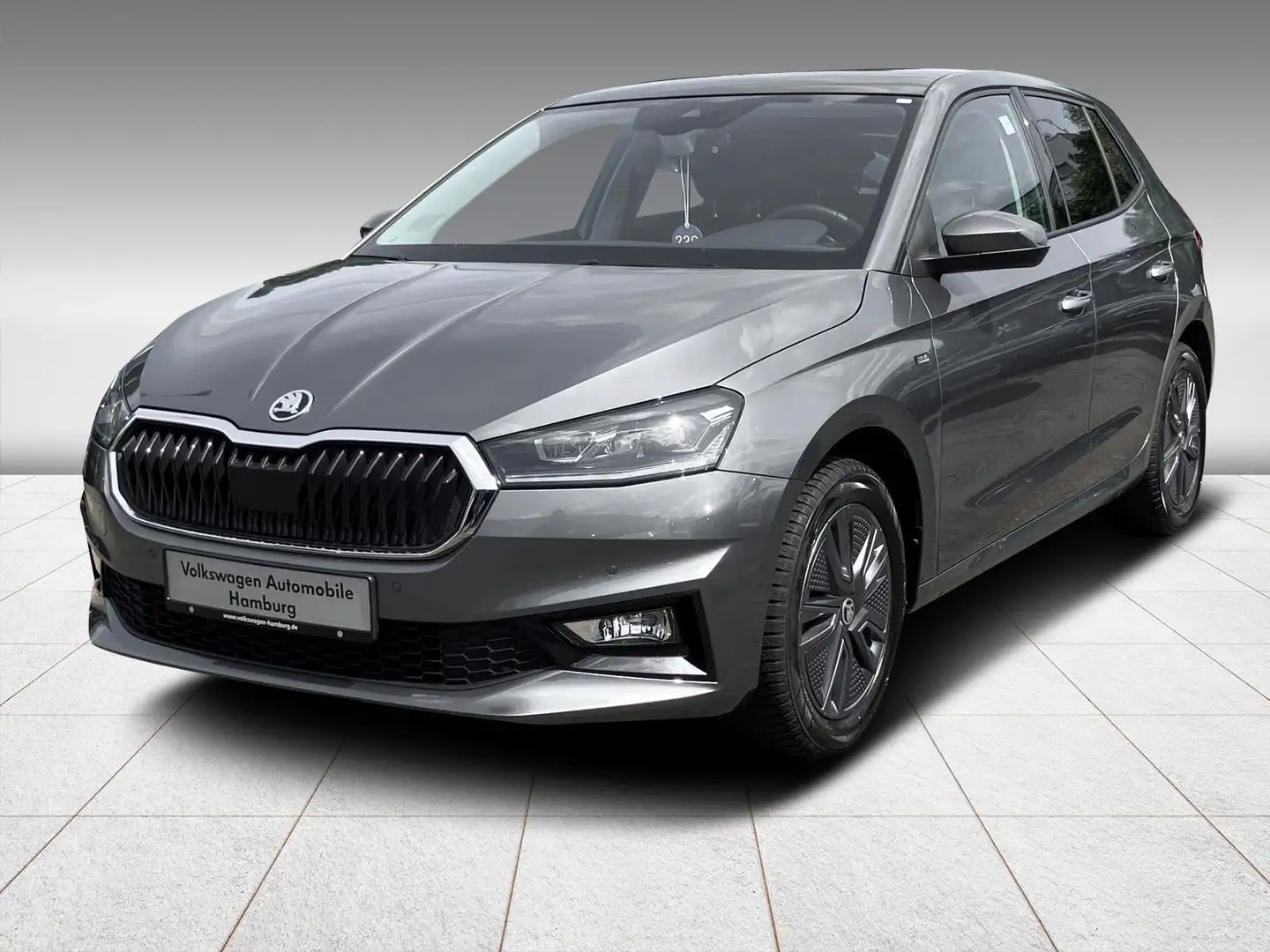 Skoda Fabia Selection 1.0 TSI DSG Einparkhilfekamera Grau - 2