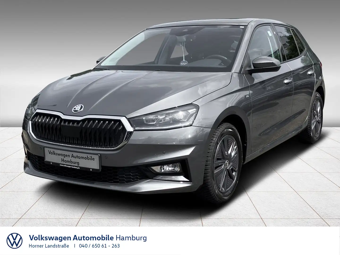 Skoda Fabia Selection 1.0 TSI DSG Einparkhilfekamera Grau - 1
