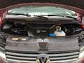 Volkswagen T6 California T6.1 California Beach ACC LED STHZG DCC Rouge - thumbnail 29