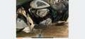 Indian Chieftain Classic Icon - thumbnail 10