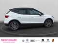 SEAT Arona Road Edition 1.0 TSI 85 kW (116 PS) DSG  NAVI  AHK Wit - thumbnail 7