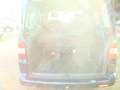 Volkswagen T5 Multivan Transporter T5 TDI DPF Atlantis Turbo defekt Blau - thumbnail 6