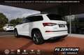 Skoda Kodiaq 2.0 TDI DSG 4x4 Sportline 7-SITZE AHK CAM Blanc - thumbnail 3