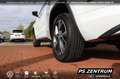 Skoda Kodiaq 2.0 TDI DSG 4x4 Sportline 7-SITZE AHK CAM Blanc - thumbnail 9