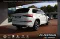 Skoda Kodiaq 2.0 TDI DSG 4x4 Sportline 7-SITZE AHK CAM Blanc - thumbnail 5