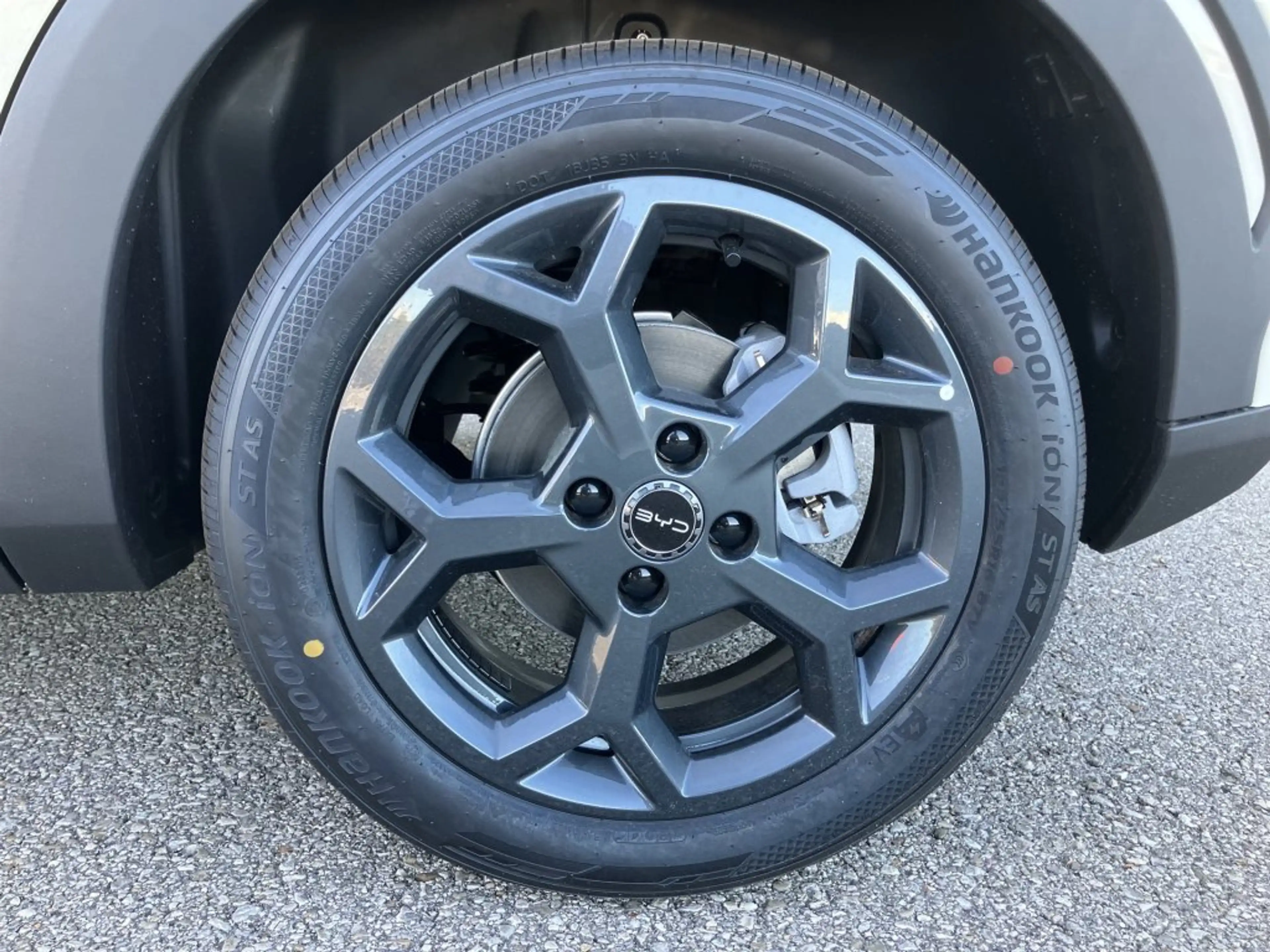 BYD Dolphin Surf Boost — photo 8