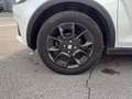 Suzuki Ignis Ignis 1.2 Dualjet Top Blanco - thumbnail 10