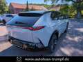 Mazda CX-6e 5WGN EV 258ps 1AT RWD Takumi BKTR PABS Grau - thumbnail 6