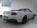 Ford Mustang CABRIO 5,0 Ti-V8 AUTOMATIK Weiß - thumbnail 4