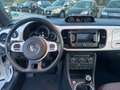 Volkswagen Maggiolino Maggiolino 1.6 tdi Design **TETTO APRIBILE** Blanc - thumbnail 10