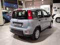 Fiat Panda Panda III 1.0 firefly hybrid s Gris - thumbnail 5