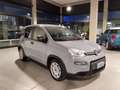 Fiat Panda Panda III 1.0 firefly hybrid s Gris - thumbnail 6