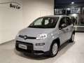 Fiat Panda Panda III 1.0 firefly hybrid s Grigio - thumbnail 8