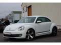 Volkswagen Coccinelle Coccinelle 1.4 TSI 150cv COUPE Sport CUP Gri - thumbnail 2