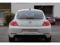 Volkswagen Coccinelle Coccinelle 1.4 TSI 150cv COUPE Sport CUP Szary - thumbnail 6