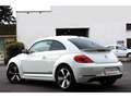 Volkswagen Coccinelle Coccinelle 1.4 TSI 150cv COUPE Sport CUP Gri - thumbnail 3