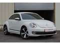 Volkswagen Coccinelle Coccinelle 1.4 TSI 150cv COUPE Sport CUP Сірий - thumbnail 1