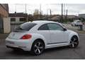Volkswagen Coccinelle Coccinelle 1.4 TSI 150cv COUPE Sport CUP siva - thumbnail 4