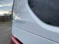 Volkswagen T7 Multivan 2.0 TDI DSG Energy STANDHZG PANO AHK Weiß - thumbnail 17