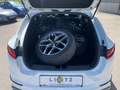 Kia ProCeed / pro_cee'd ProCee'd GT-LINE 1,4 T-GDi Aut. Weiß - thumbnail 9
