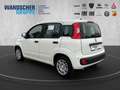 Fiat Panda MY25 Hybrid 1.0 GSE Weiß - thumbnail 5