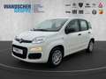 Fiat Panda MY25 Hybrid 1.0 GSE Weiß - thumbnail 1