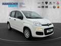 Fiat Panda MY25 Hybrid 1.0 GSE Weiß - thumbnail 9