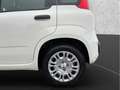 Fiat Panda MY25 Hybrid 1.0 GSE Weiß - thumbnail 19