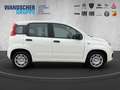 Fiat Panda MY25 Hybrid 1.0 GSE Weiß - thumbnail 8