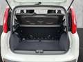 Fiat Panda MY25 Hybrid 1.0 GSE Weiß - thumbnail 17